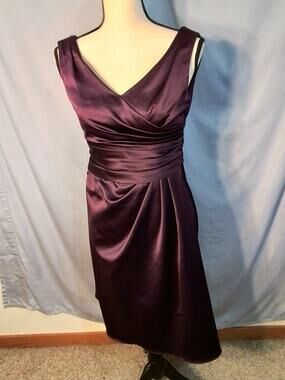 David's Bridal plum color dress with rushing